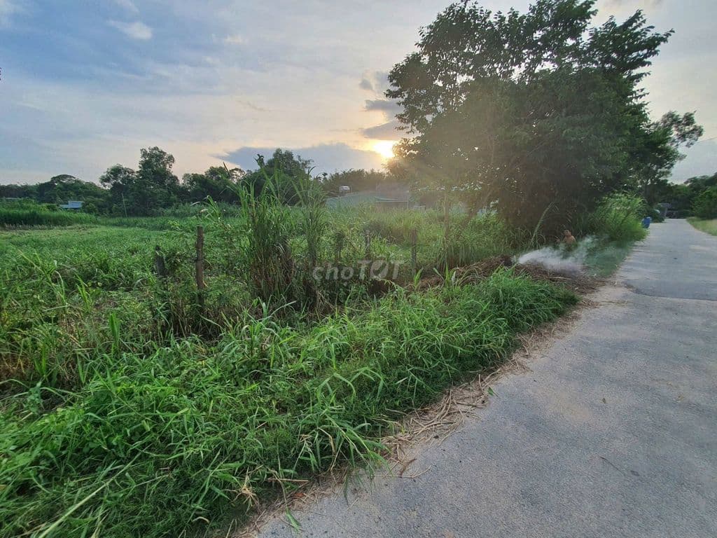 Đất nền thổ cư 1930m² tại Xã Thái Mỹ, Củ Chi, TP.HCM