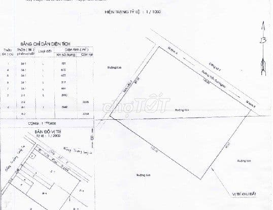 Bán gần 1,1ha đất mặt tiền Đường Trần Đại Nghĩa, Bình Chánh - Ảnh 2