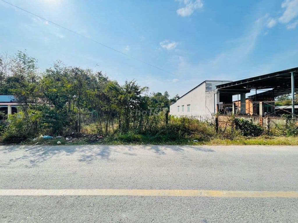 Đất MT 1300m2 có thổ cư đường An Nhơn Tây, Củ Chi - Ảnh 2