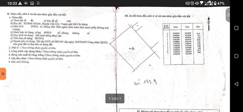 13825 m2 Hà Quang Vóc, xã Bình Khánh, TP.HCM - Ảnh 3
