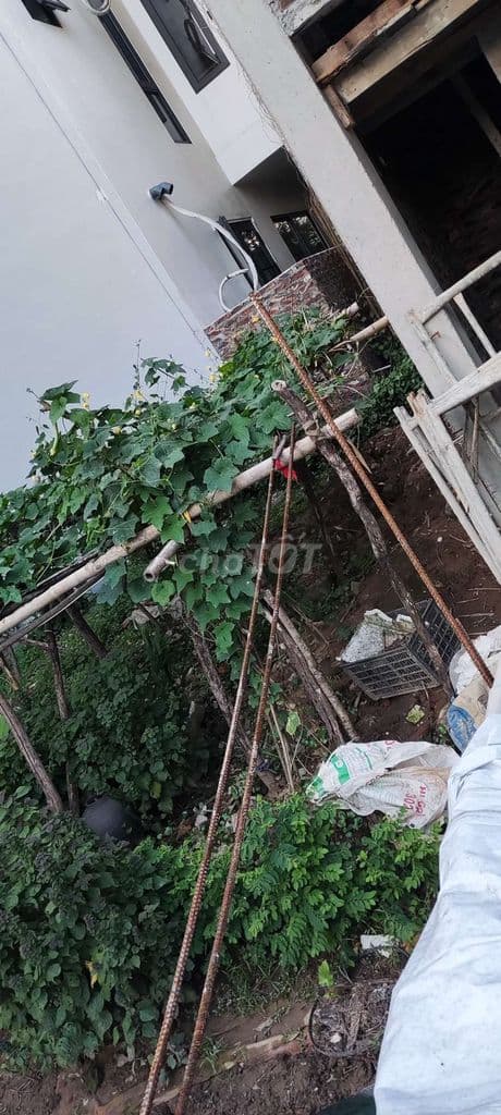 Bán mảnh đất vườn xen kẹt, xây được Nhà, tại Xuân Phương, Nam Từ Liêm