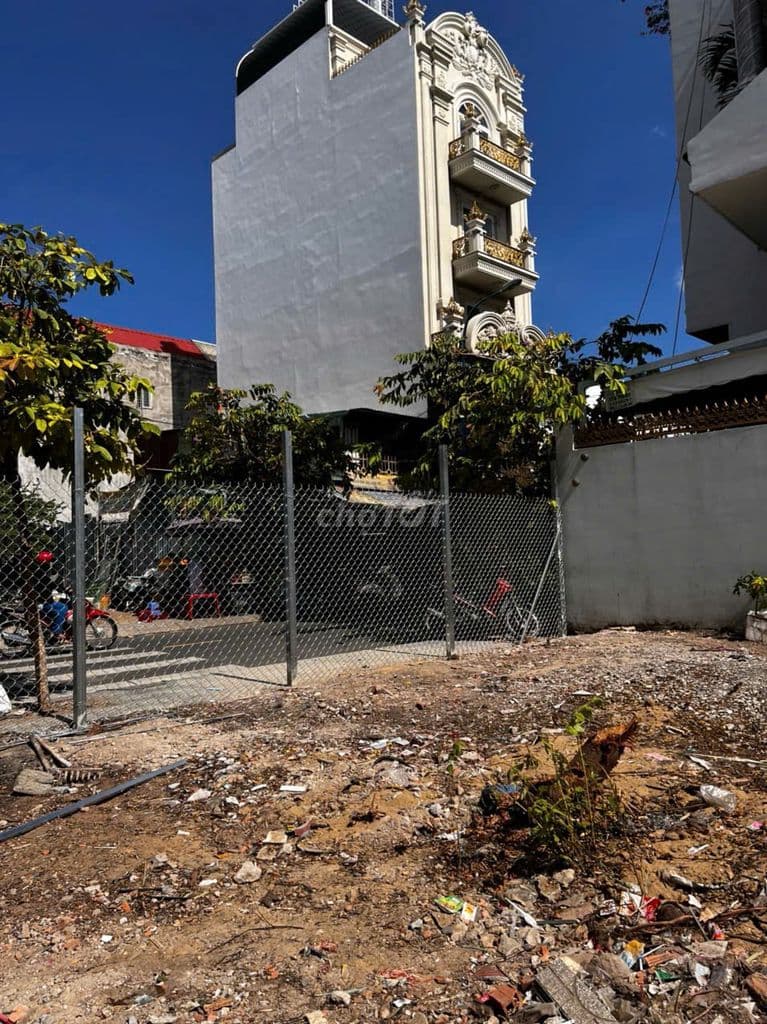 238,6m đất đường nhựa 10m p10 tân bình cần bán - Ảnh 2