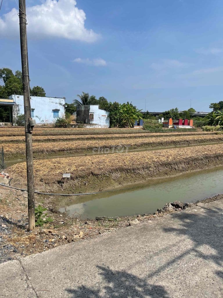 cần bán hạ giá - Ảnh 3