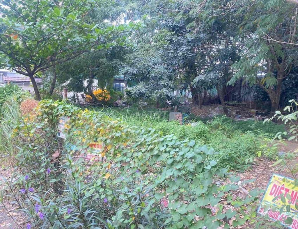 670M x ĐẤT, MT 23M - 58,5 TỶ - SỔ RIÊNG - QUẬN HÀ ĐÔNG - Ảnh 3