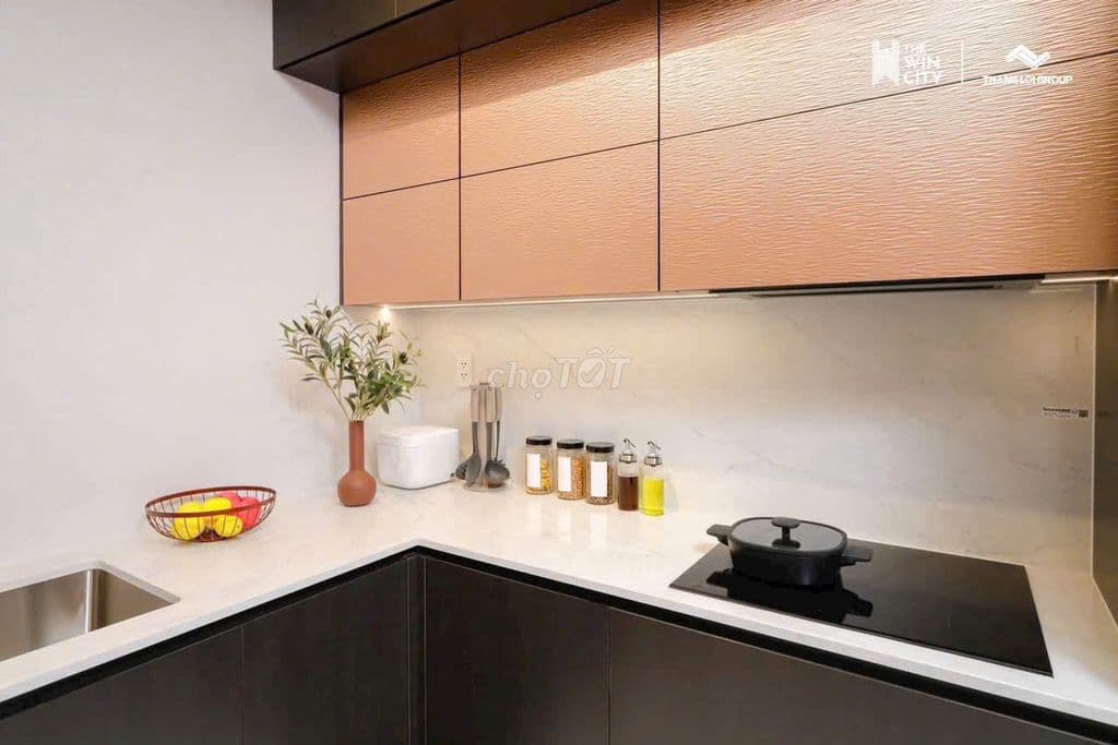 CĂN HỘ QUỐC DÂN THE WIN CITY CHỈ VỚI 250TR - Ảnh 3