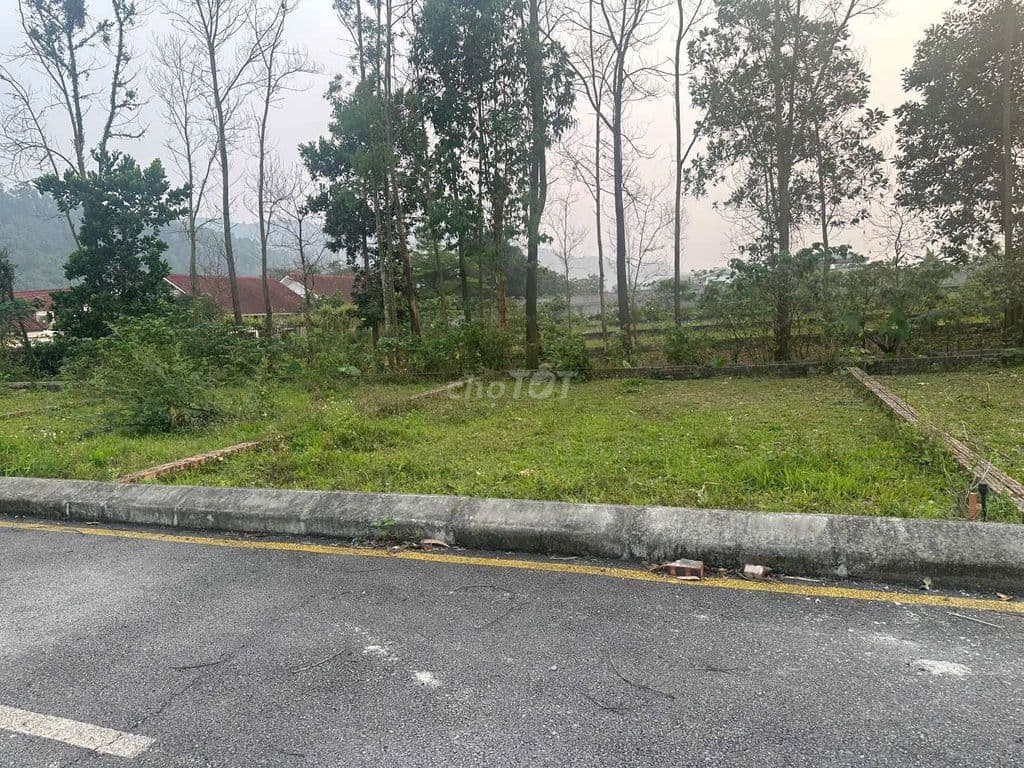 đất nền giá rẻ - Ảnh 2