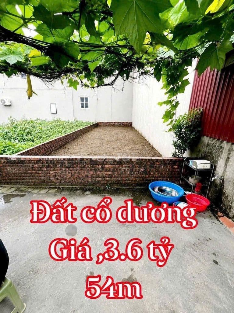💢 💢 Đất Đẹp 54m2 Cổ Dương, Tiên Dương – HÀNG ĐẸP – GIÁ TỐT 🏡