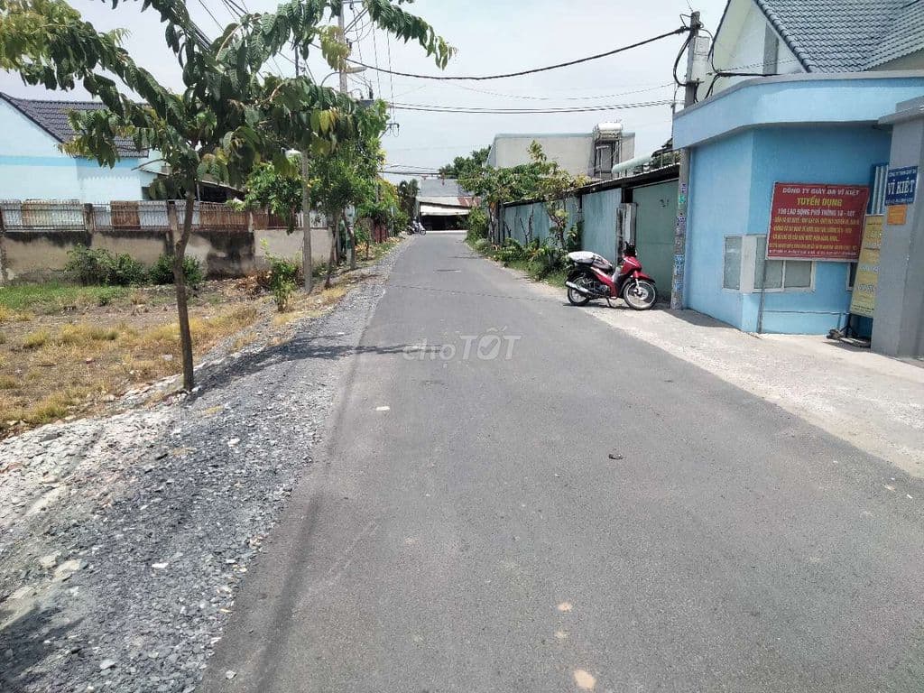 BÁN ĐẤT THỔ CƯ 1100M2 ĐƯỜNG NHỰA THÔNG XÃ BÌNH MỸ - Ảnh 2