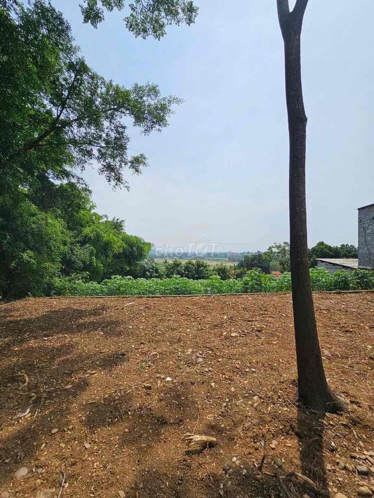 chính chủ bán đất nam phương tiến, chương mỹ, hà nội - Ảnh 2