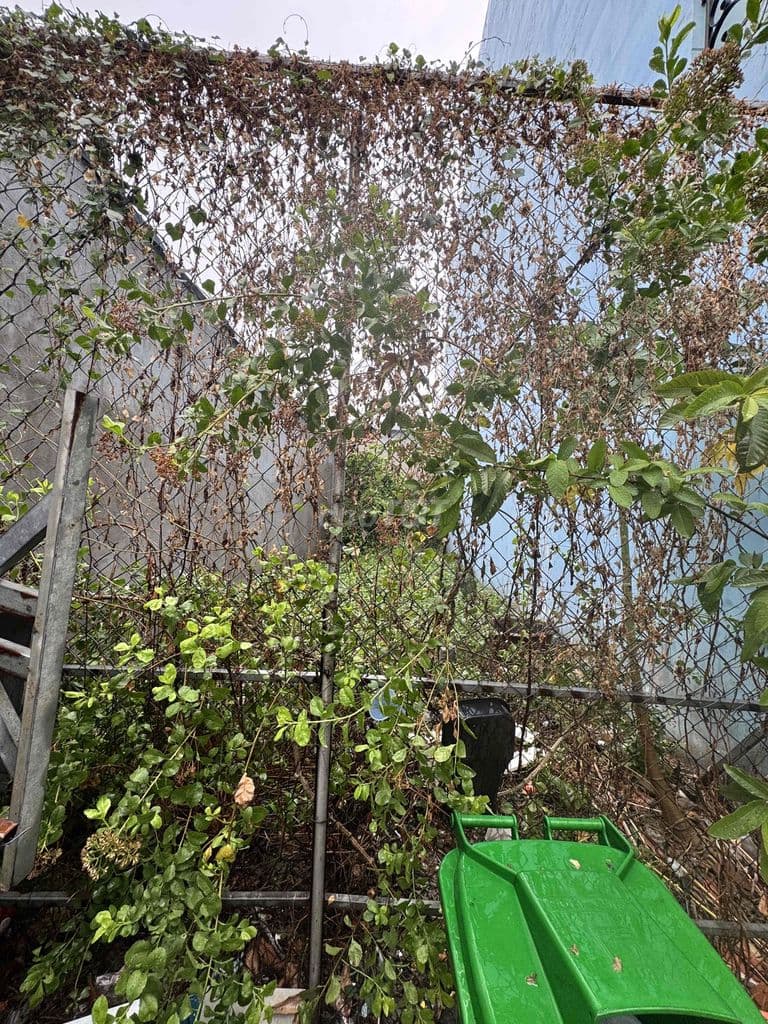 CHỦ VỪA LÔ ĐẤT QUÁ TUYỆT ‘ 60 m 4 x 16 m GiÁ 4 x tỷ TẠi kHu TÊN LỬA
