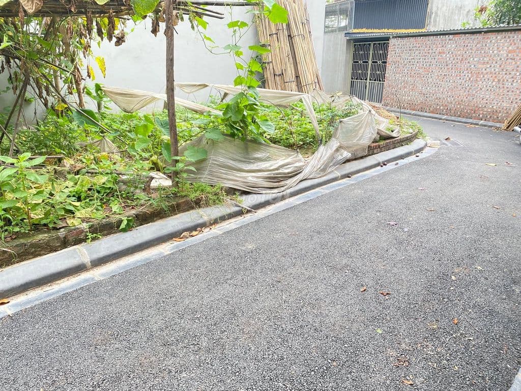 bán đất 54m² Đông Anh giá 4 tỷ