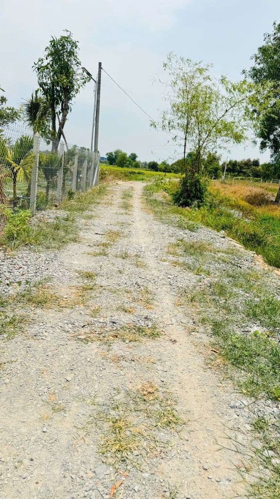 TP. HỒ CHÍ MINH: 17X46m tổng 774m2 tại Phú An: Chốt 390 triệu cả lô! - Ảnh 2