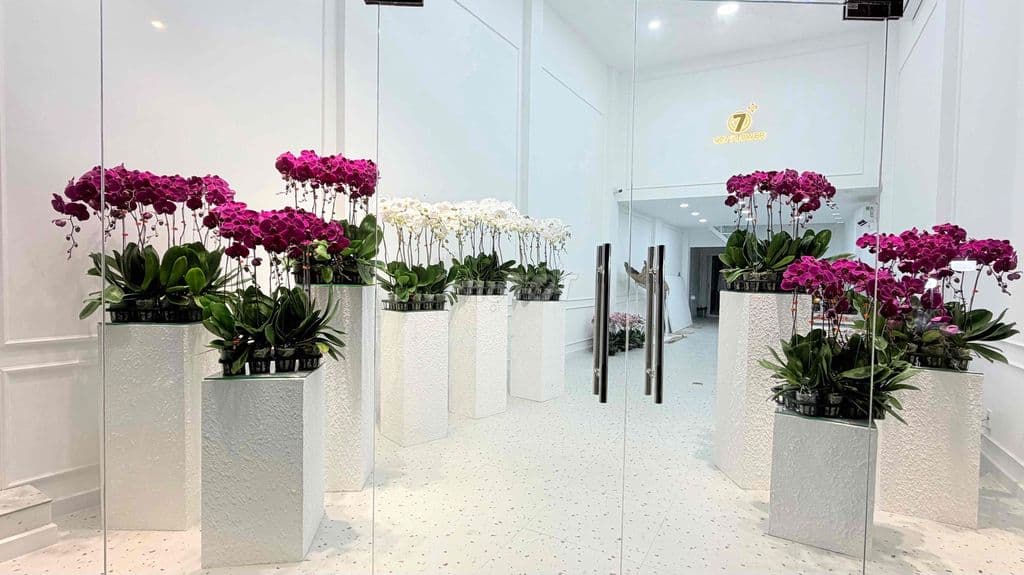 GIẢM 3 TỶ - VỊ TRÍ SIÊU ĐẸP MT NGUYỄN THÁI SƠN - Bệnh viện 175 - Ảnh 2