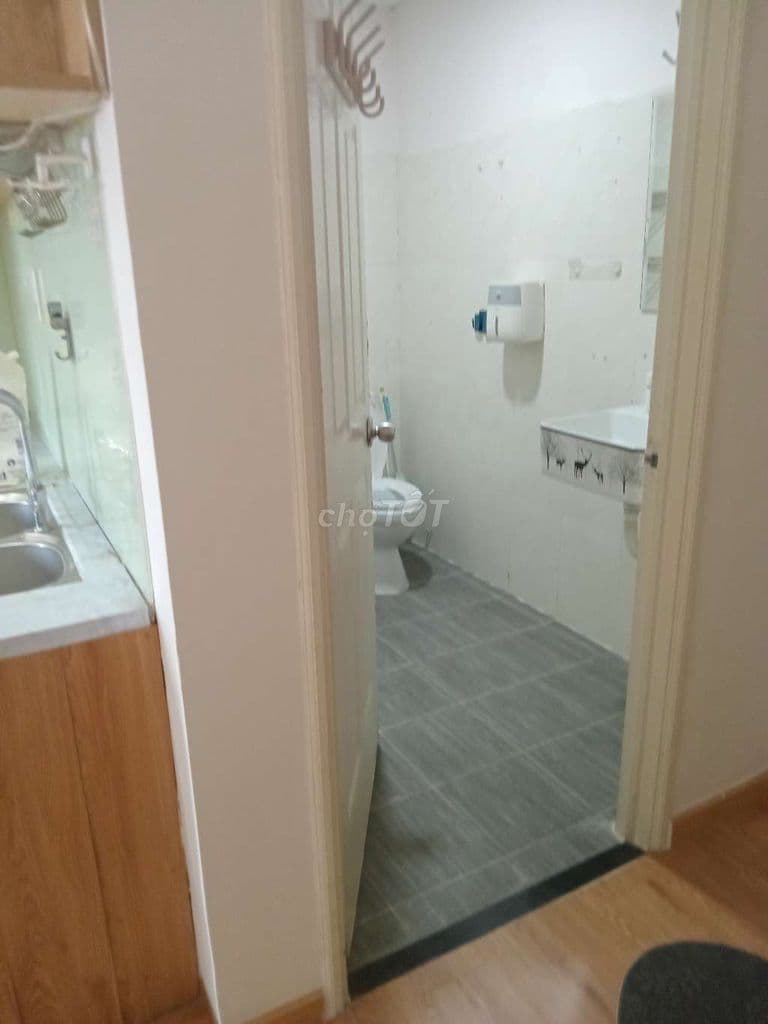 Bán chung cư 8x Đầm Sen 1 phòng ngủ có sổ hồng đường Tô Hiệu, Tân Phú - Ảnh 2