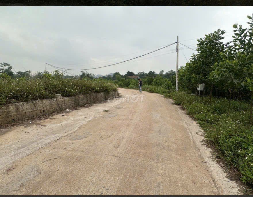 lô đất ven hà nội - Ảnh 2