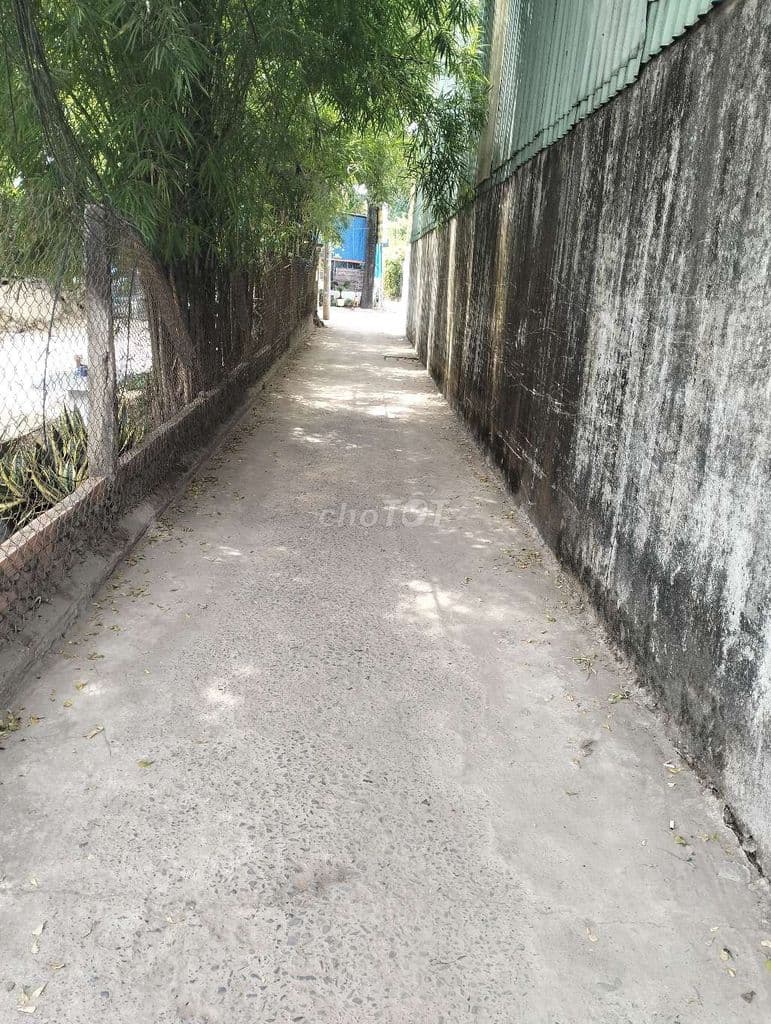ĐẤT LÔ GIÁ RẺ CẦN BÁN GẤP - Ảnh 3