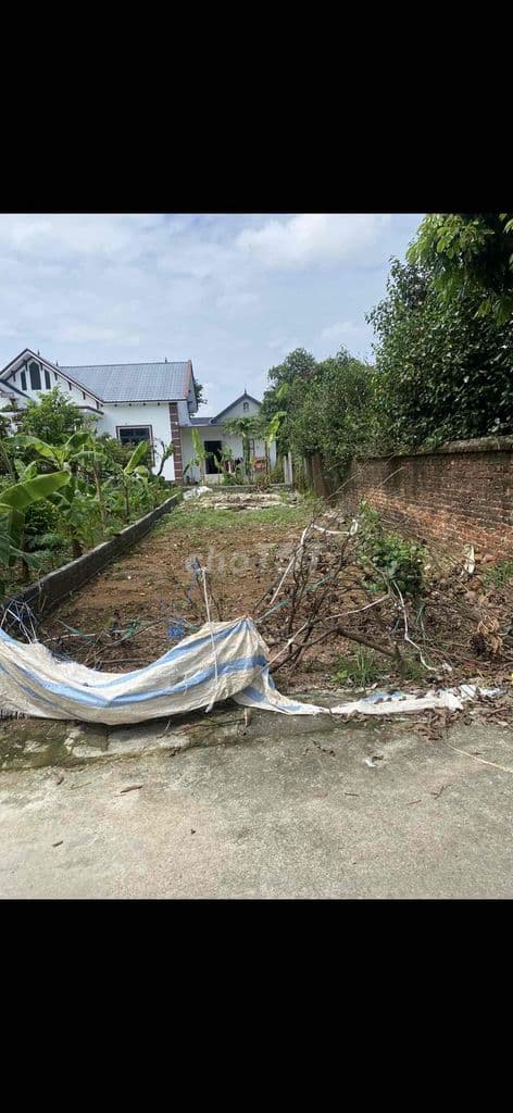 KÈO ĐẦU TƯ DƯỚI 3 TỶ – ĐÓN SÓNG TÂY HÀ NỘI 🔥 💰 2,8 TỶ – ĐẤT ĐÔNG YÊN - Ảnh 2