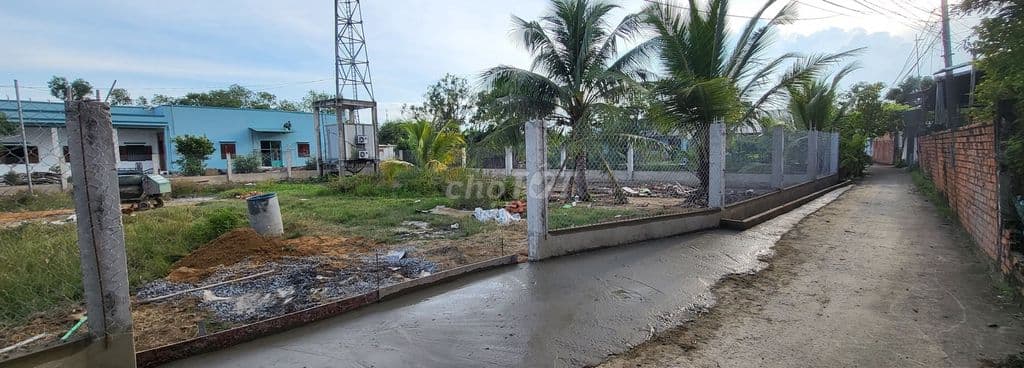 1170m2 Khu phố 3 Trung Tâm Tân Nhựt (Sẵn Thổ Cư) gần nhiều tiện ích - Ảnh 2
