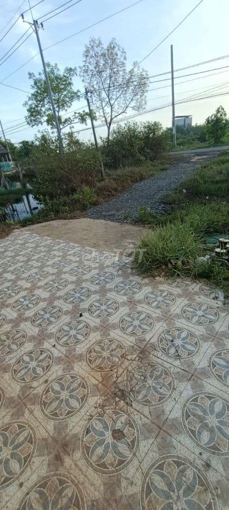 Bán đất thổ cư 1245m2 mặt tiền Lý nhơn xã An thới đông, có nhà 180m2 - Ảnh 3