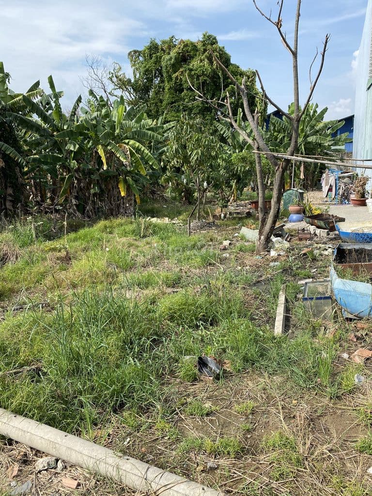 Có mảnh đất cần bán ở quận 12 - Ảnh 3