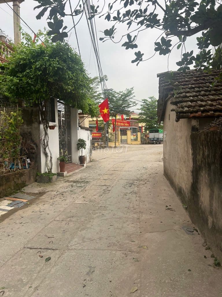 🚀 SIÊU PHẨM ĐÔNG MỸ - 80M2 ĐẤT THỔ CƯ - Ô TÔ TRÁNH - KINH DOANH TỐT - Ảnh 3