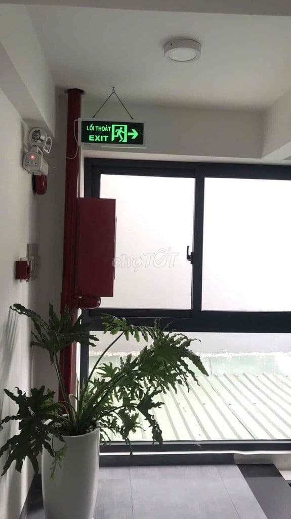 BÁN TÒA NHÀ MẶT TIỀN 6M TRƯƠNG QUỐC DUNG – PHÚ NHUẬN - Ảnh 2