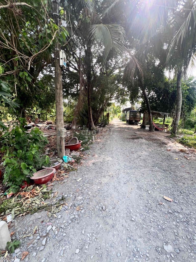 ĐẤT THỔ CƯ MẶT TIỀN ĐƯỜNG 40m - Ảnh 3