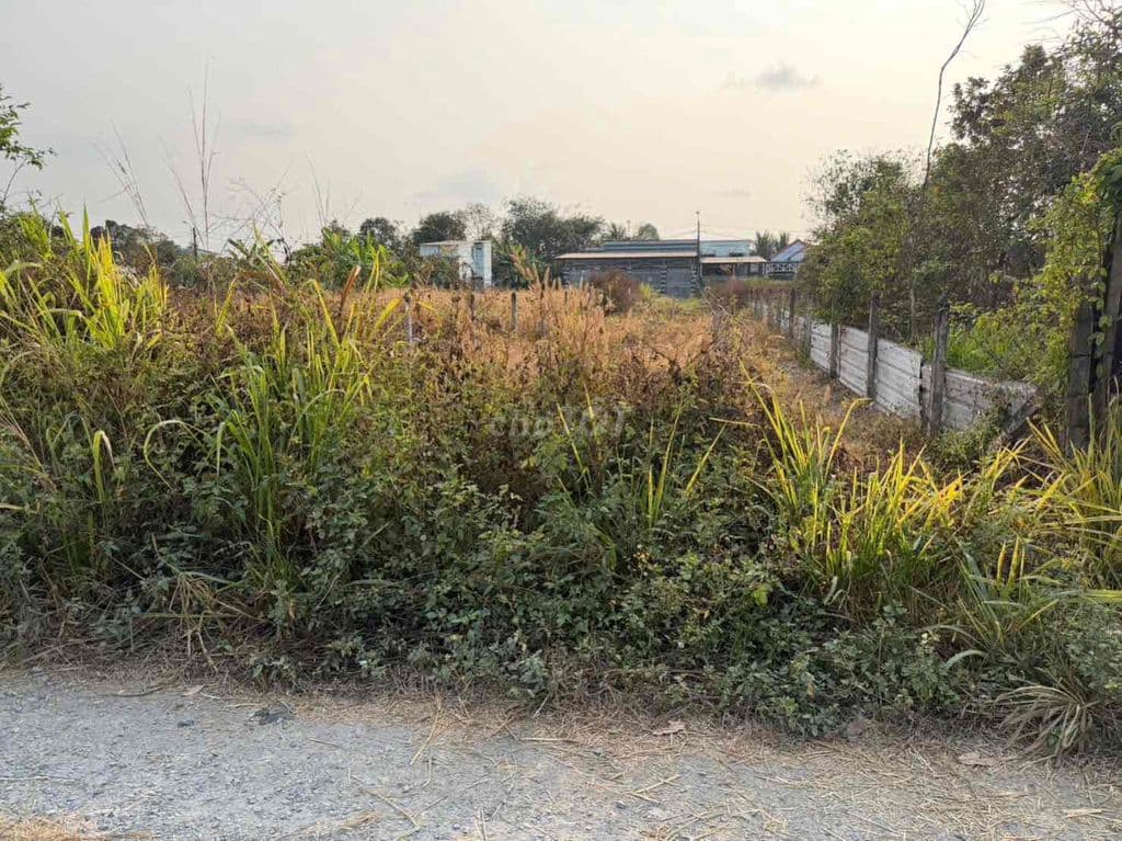 Bán đất đường130 191,3m2 (6,2x30) thổ cư ngay gần trung tâm thạnh đông