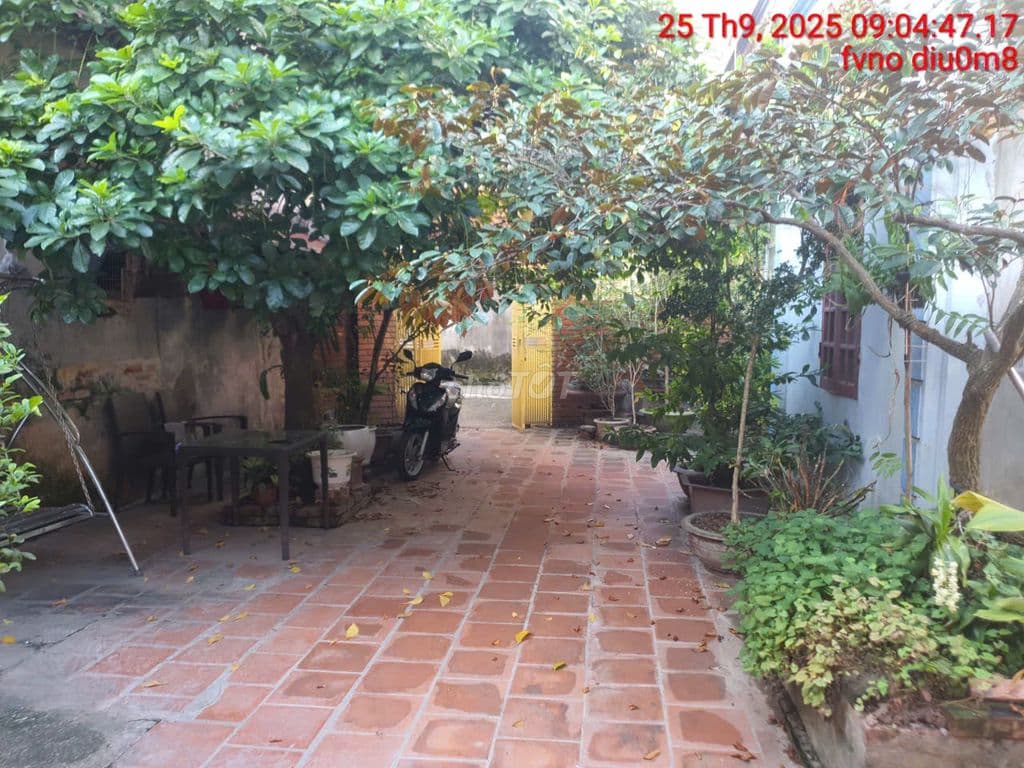 Bán nhà riêng 533/38/7 Nguyễn Bình, Gia Lam, 240m2, 9,5 tỷ - Ảnh 2