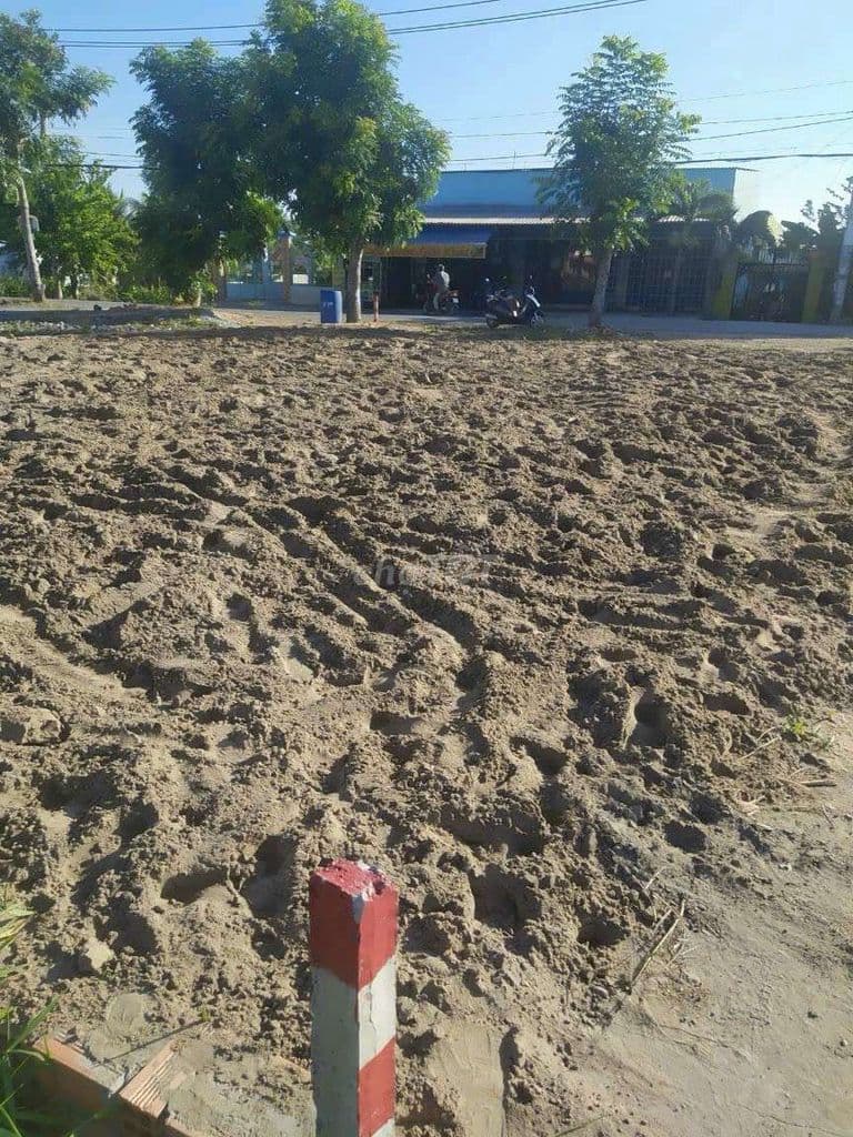 Bán lô góc 2MT 392m2 thổ cư gần BV Nhi Đồng Bình Chánh - Ảnh 3