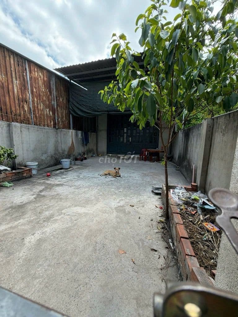 Chỉ 1,7 tỉ NHÀ CẤP 4 NGANG 5X20M VUÔNG VỨC KHÔNG LỖI PHONG THỦY - Ảnh 2