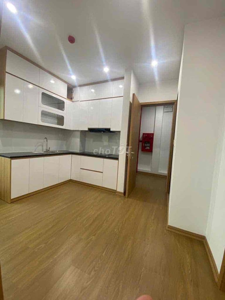 TRIỆU VIỆT VƯƠNG- BÁN CHDV 6T FULL NỘI THẤT- GẦN PHỐ- NHỈNH 19TỶ TL - Ảnh 3