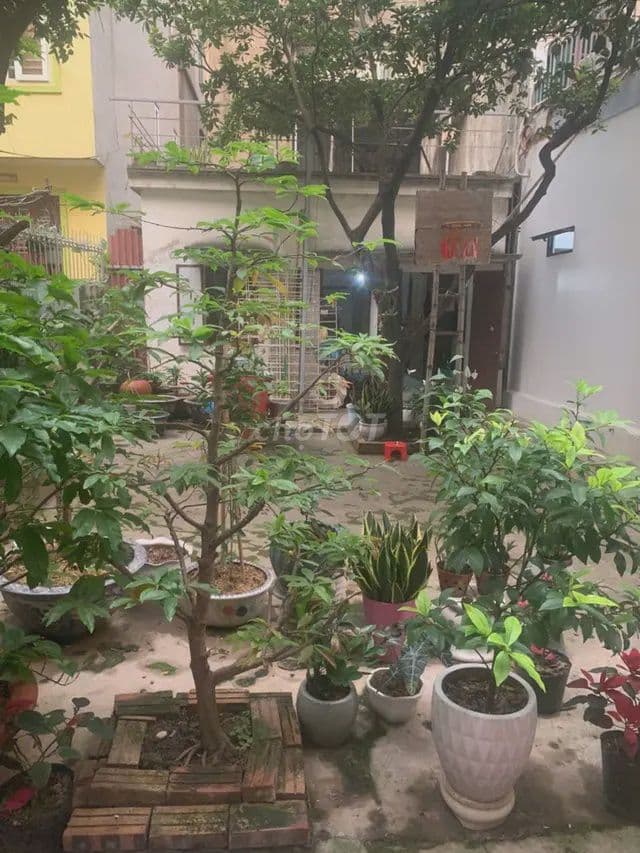 💥 Chỉ 10,1 tỷ có mảnh đất 55m vuông- ngõ đẹp Trần Thái Tông, Cầu Giấy - Ảnh 3