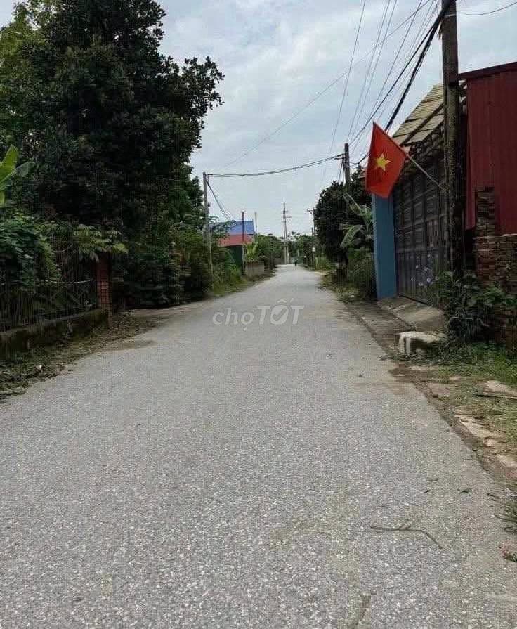 Bán đất Xuân Đồng, Sóc Sơn, Trục chính kinh doanh - Ảnh 3