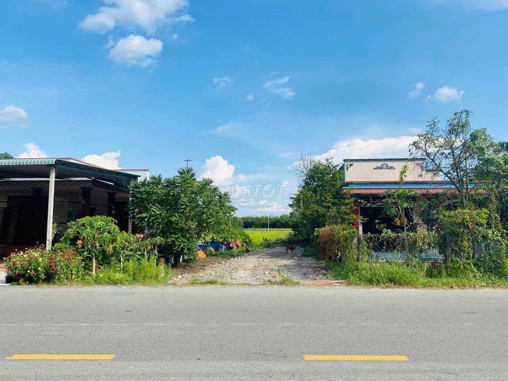 Bán đất mặt tiền đường BaSa 153m2 Giá 420 Triệu Sổ Hồng Riêng - Ảnh 3