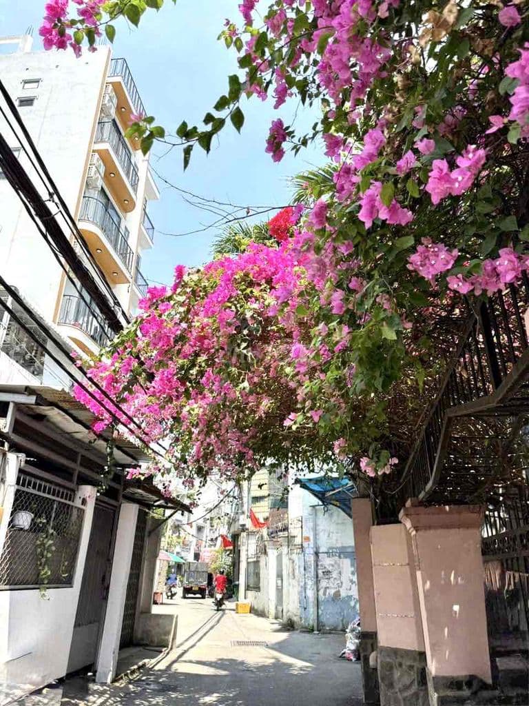 4❌13m, SÁT GÒ VẤP- NHÀ 2 TẦNG, HXH🚘, LÊ VĂN KHƯƠNG, Q.12, 4 TỶ x (TIGE - Ảnh 2