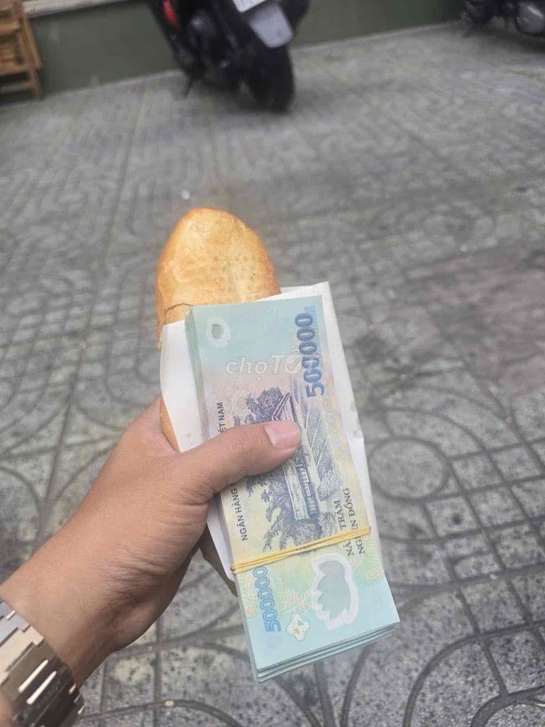 bán nhà cấp 4 dt 203m2 - Ảnh 3