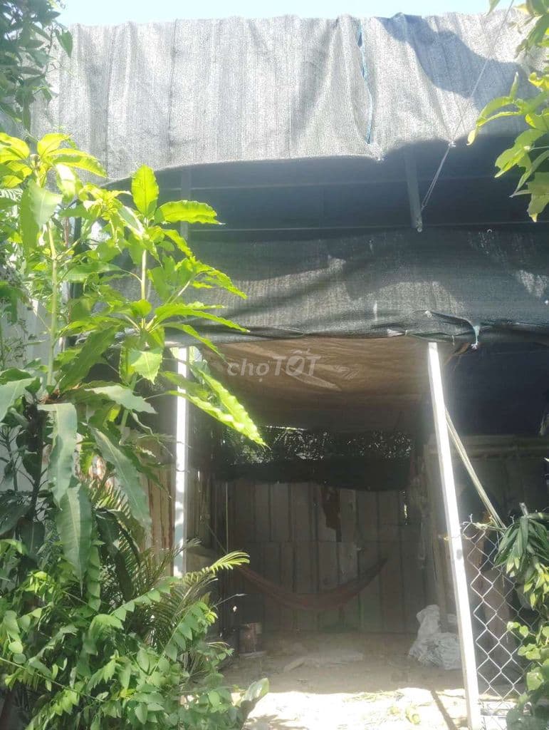 Bán đất Bình Mỹ - Ảnh 3