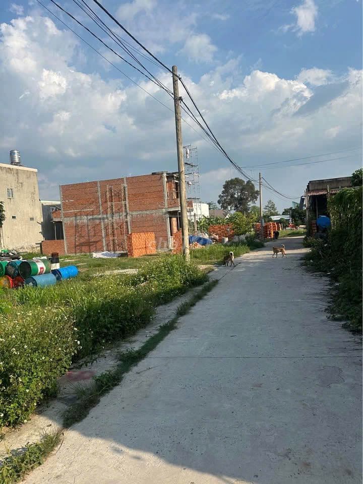 BÁN NHANH LÔ ĐẤT XÃ TÂN AN HỘI, 250M2, SHR, 795TR - Ảnh 3