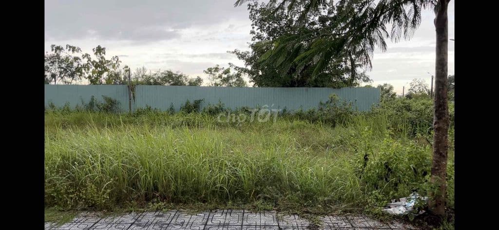 Đất nền dự án VN1234 Long Phước , 56 m2 giá tốt - Ảnh 3