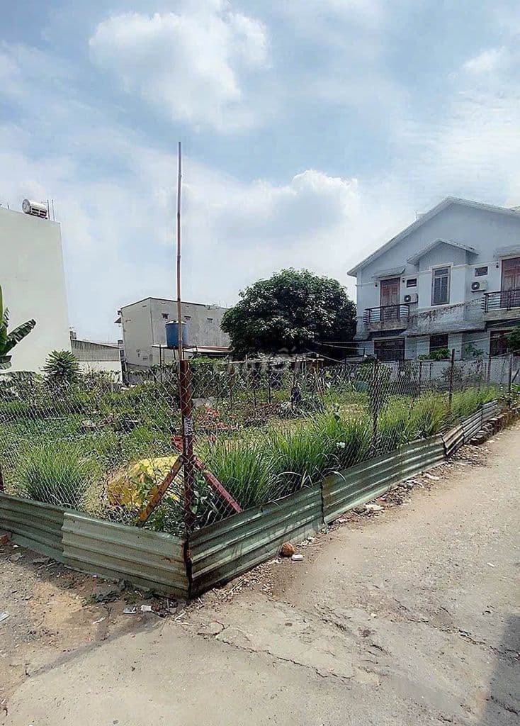 Bán đất sổ hồng riêng Phường Linh Xuân, Thủ Đức - 104.2m2 - Ảnh 3