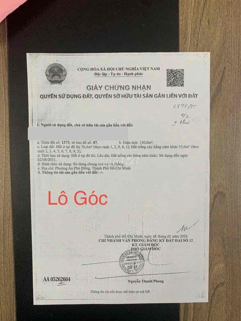 bán đất vườn này phường An Phú Đông quận 12 - Ảnh 3