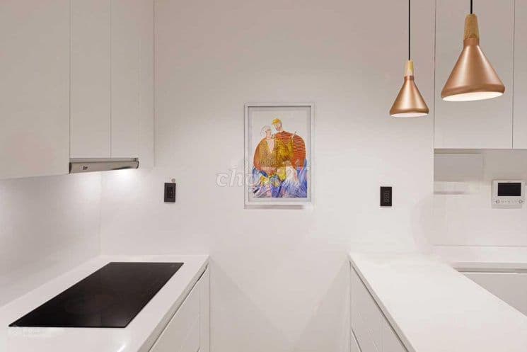 Căn hộ 1PN Everrich Infinity Quận 5