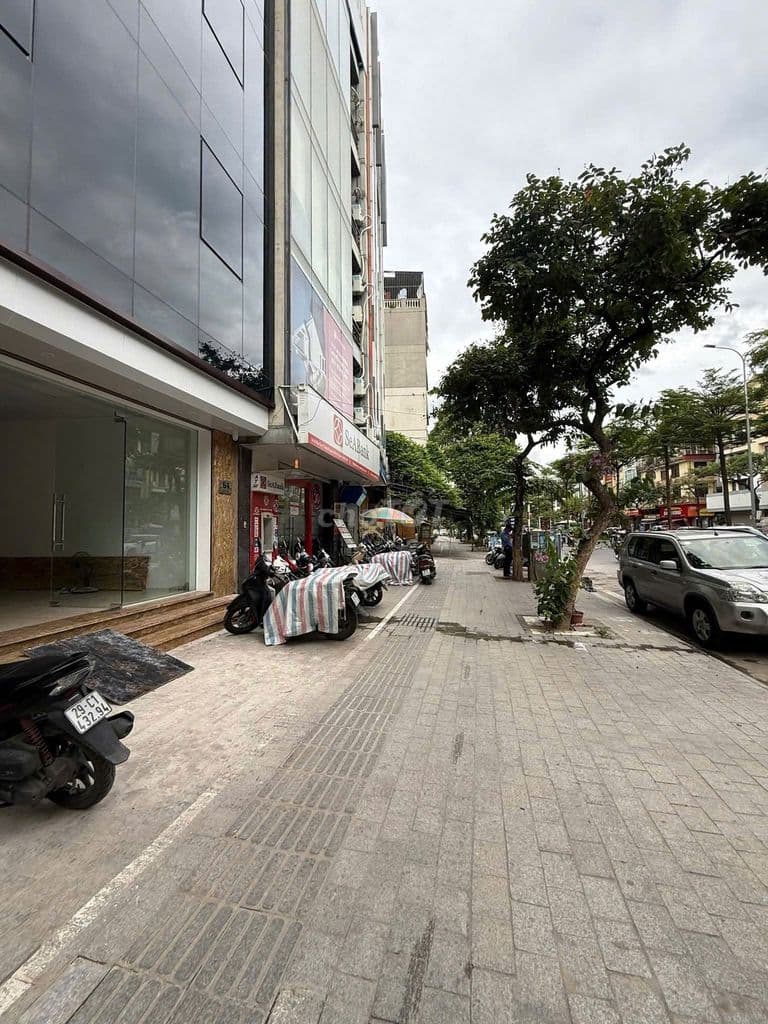 SIÊU PHẨM MẶT PHỐ ĐÀO TẤN - TÒA NHÀ VĂN PHÒNG VIP - DÒNG TIỀN KHỦNG