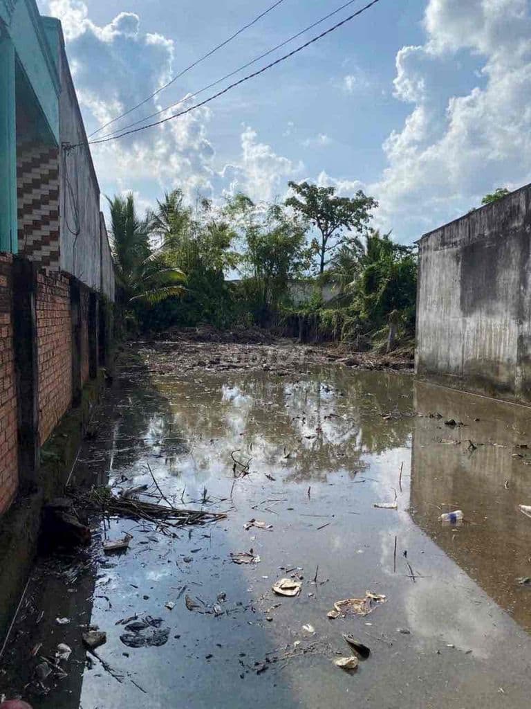 🌟 BÁN ĐẤT XÃ Tân Quý Tây – Bình Chánh (TP.HCM) - Ảnh 3