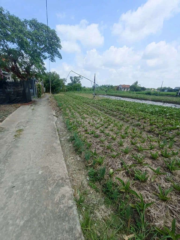 Chính Chủ Cần Bán Gấp _ Giá *** Khu Vực - Ảnh 3