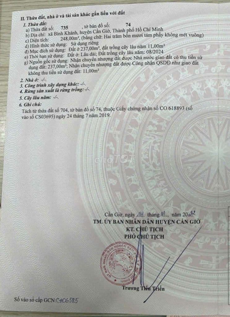 Bán 2 lô đất 2 mt đường betong rộng 2m, lô 2 đường Rừng Sác - Ảnh 3