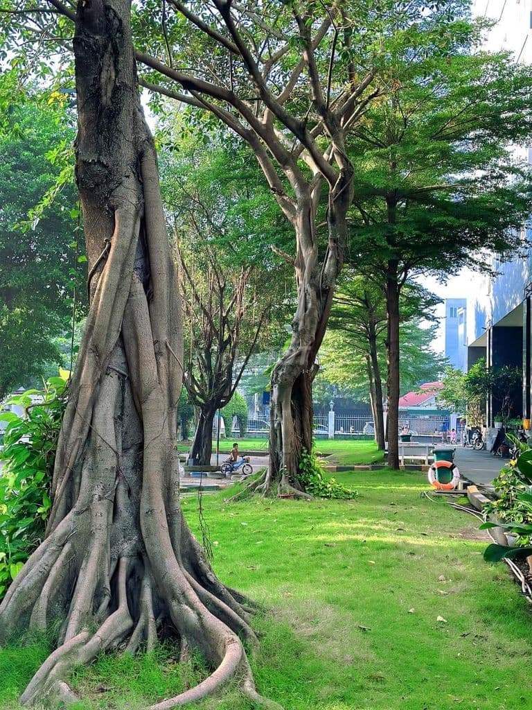 Cần bán căn hộ 79m2, 3 PN, 2 WC Dream HOme Go Vap - Ảnh 3