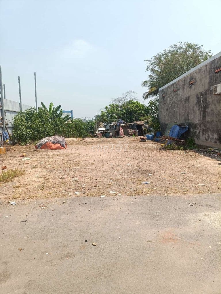 BÁN ĐẤT XUÂN THỚI SƠN HÓC MÔN 488M2- FULL THỔ CƯ- ĐƯỜNG XE TẢI-10,7 TỶ - Ảnh 3