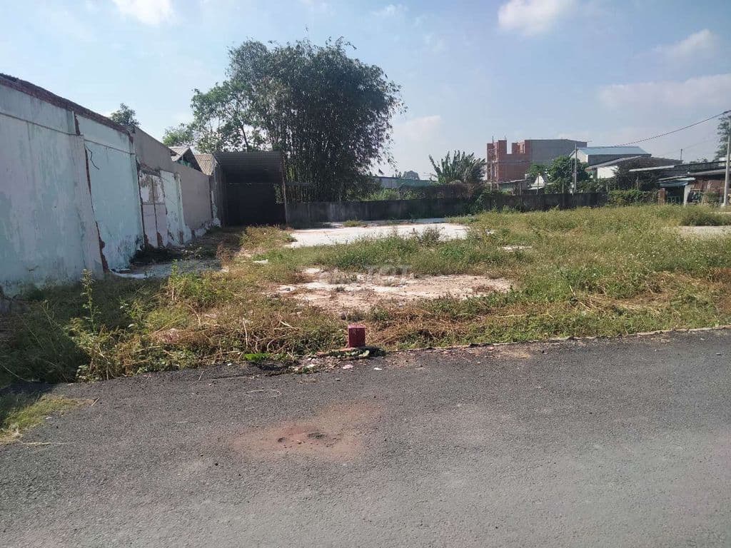 BÁN ĐẤT THỔ CƯ 143M2 MẶT TIỀN NHỰA KHU DÂN CƯ - Ảnh 3